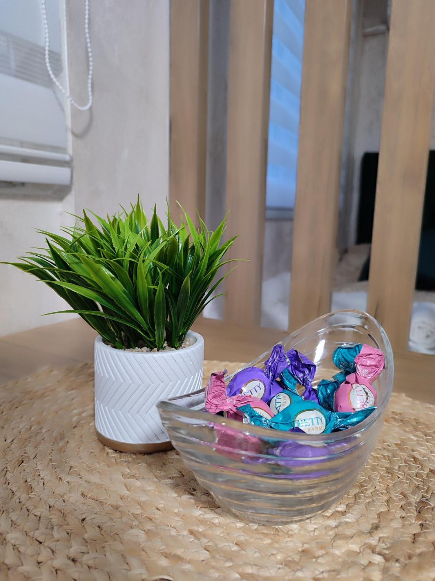 Studio Apartman Free Parking Rubikon Belgrade Bilik gambar